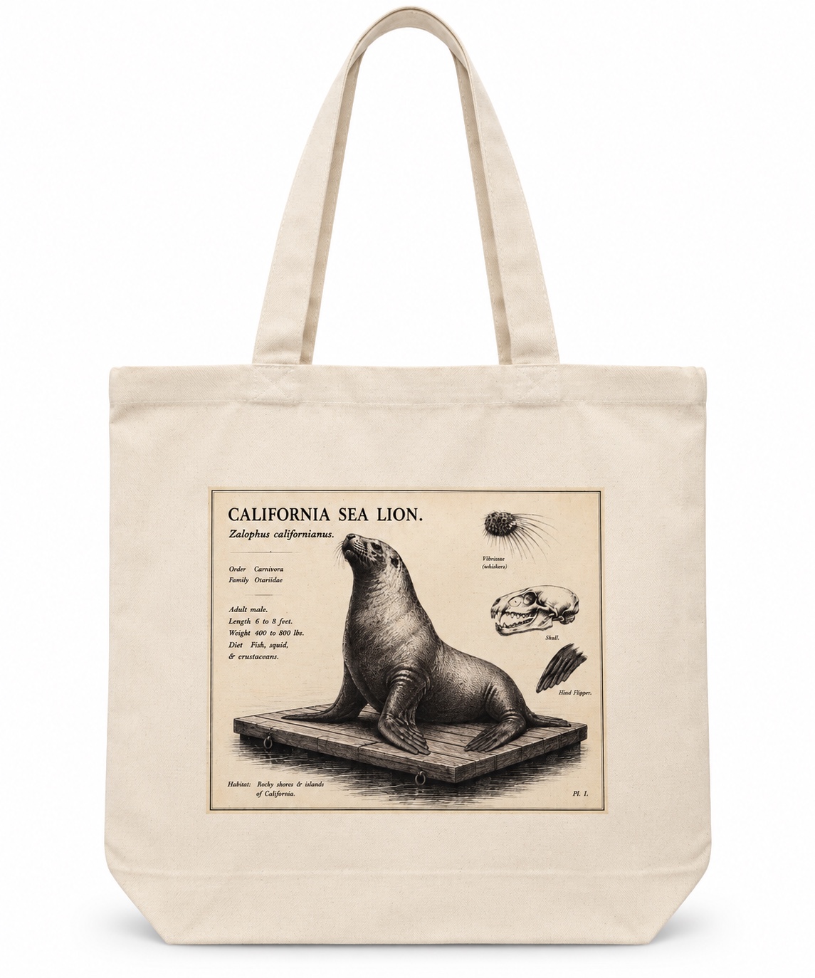 California Sea Lion design on a canvas tote